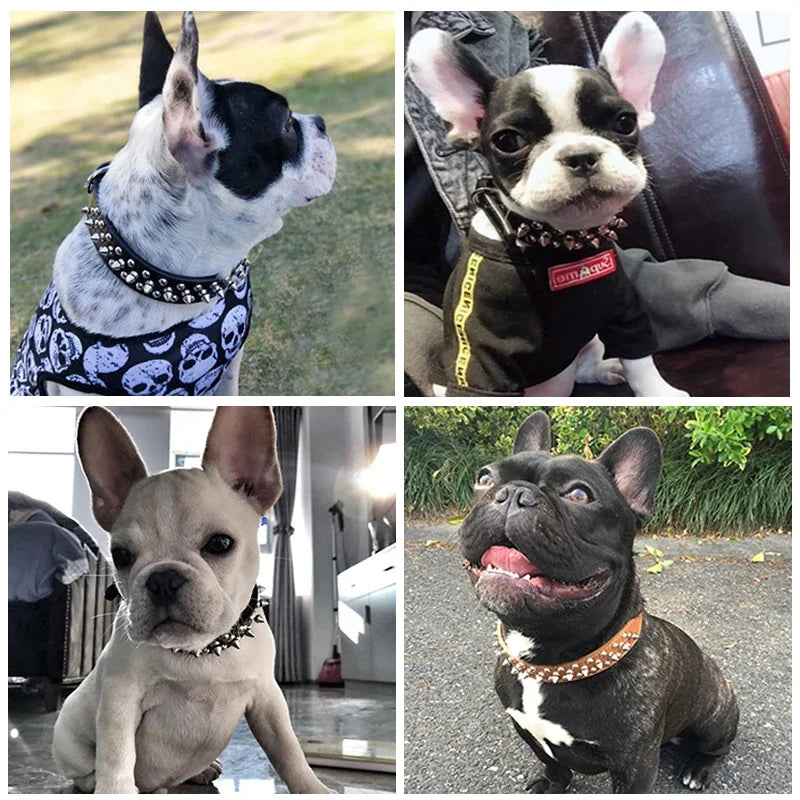 Adjustable Leather Pet Dog collar Neck Strap Supplies PU Leather Punk Rivet Spiked Dog Collar Pet Collars For Small Dog Cat Beauty World Shop