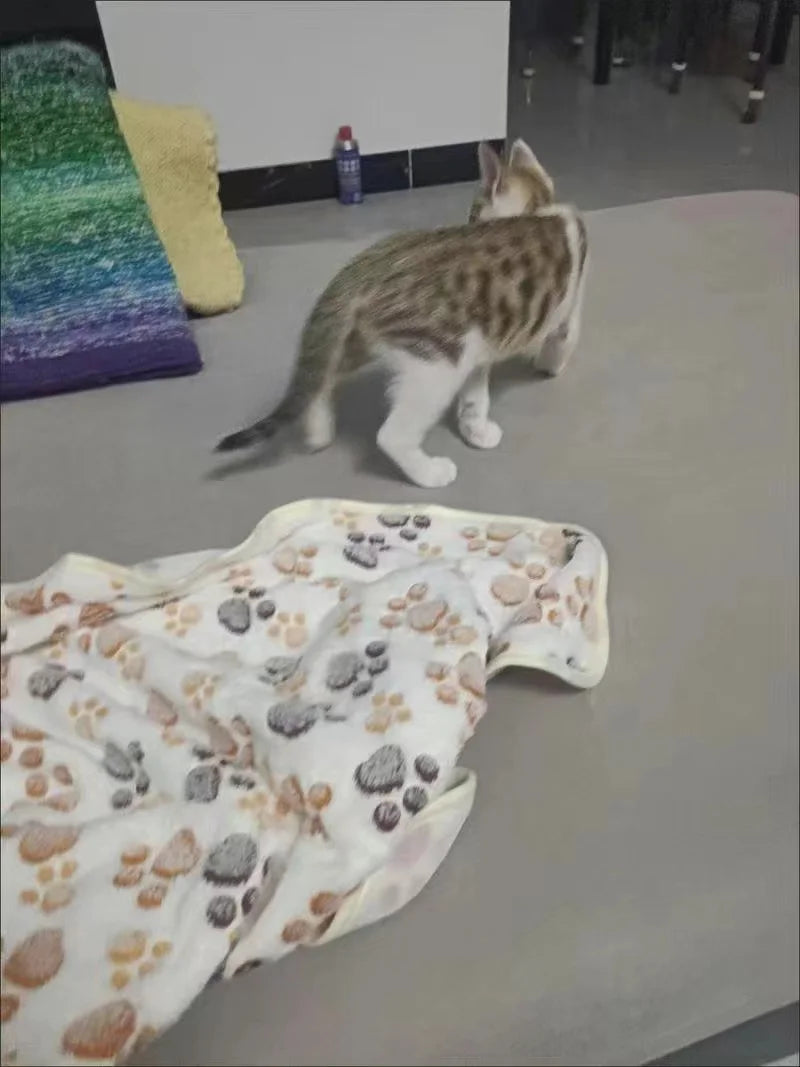 Warm Pet Cat Blanket Autumn Winter Cozy Thicken Fleece Kitten Footprint Bed Mat for Small Medium Big Cats Dog Chihuahua Supplies Beauty World Shop