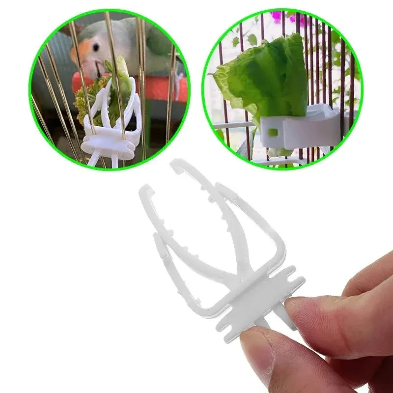 Cute Small Pet Bird Food Holder Parrot Fruits Vegetables Clip Cuttlefish Bone Feeder Device Clamp Bird Cage Accessories Oiseaux Beauty World Shop