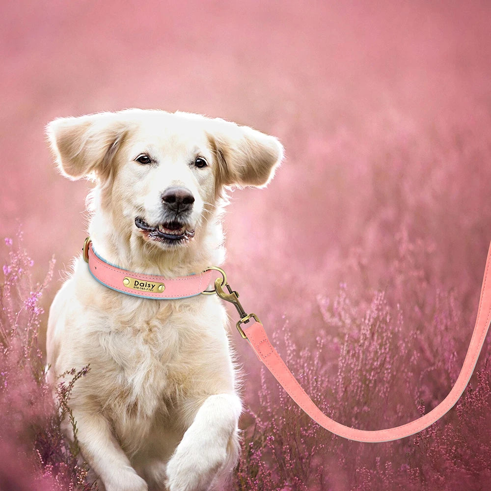 Customized Leather Dog Collar Leash Set Soft Padded Leather Collar For Small Medium Large Dogs With Free Engraved Nameplate Beauty World Shop