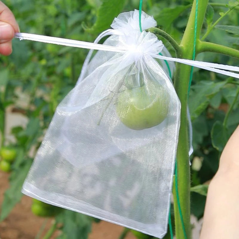 50Pcs Grapes Fruit Protection Bags Pest Control Anti-Bird Garden Netting Bags Mesh Agricultural Tree Garden Tool Bags Beauty World Shop