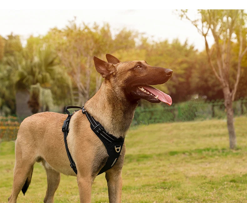 TRUE LOVE Pet Harness No Pull Nylon Reflective Dog Harness Adjustable Comfortable Control Step-in Brilliant Truelove TLH5654 Beauty World Shop