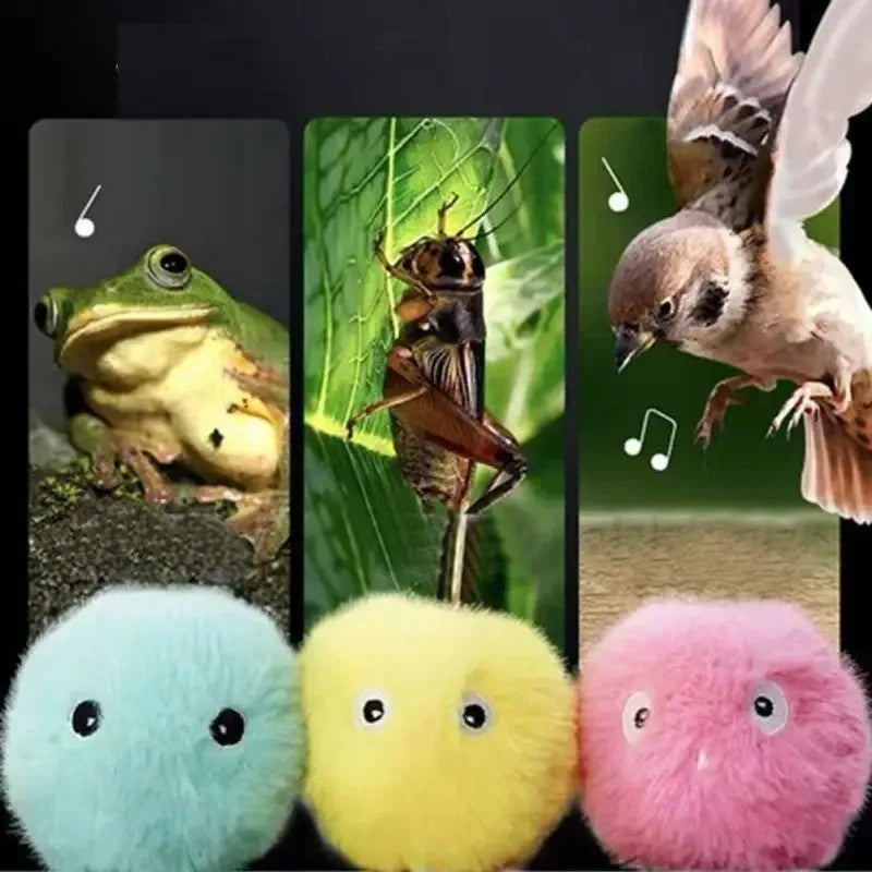 Cat Toys Balls Sound Frogs Birds Chirping Crickets EVA Balls Rolling Cat Plush Soft Self-Heeling Teaser Toys Pet Accessories Beauty World Shop