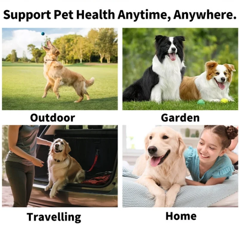 Pet Cleaning Products Eye Wipes To Remove Tear Marks Cleaning Wet Tissues Cat Wiping Eyes Removing Tear Marks Beauty World Shop