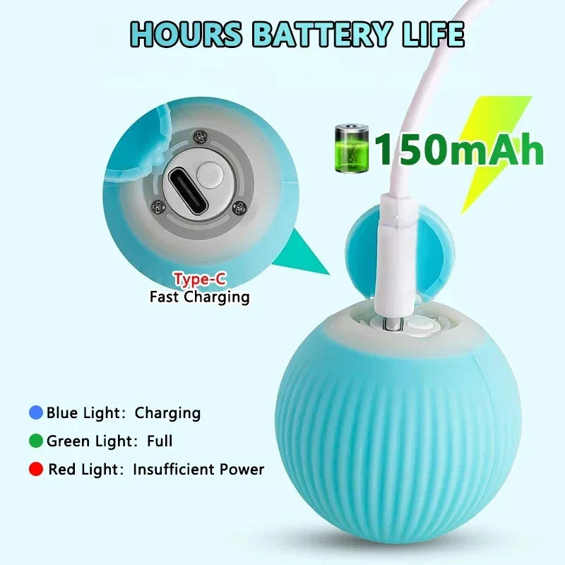 Spin Ball Things for Cats Toys Electric Interactive USB Charging Cat Ball Toy Cat and Dog Accessories Pet Cat's Supplies Home Beauty World Shop