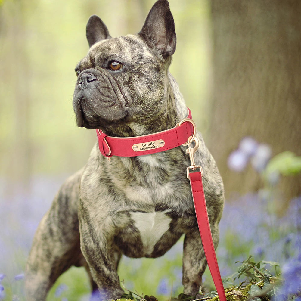 Soft Padded Dog Collar Leash Set PU Leather Pet Dog Collars Necklace With Walking Lead Rope Adjustable For Small Medium Dogs Pug Beauty World Shop