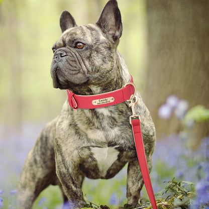 Soft Padded Dog Collar Leash Set PU Leather Pet Dog Collars Necklace With Walking Lead Rope Adjustable For Small Medium Dogs Pug Beauty World Shop