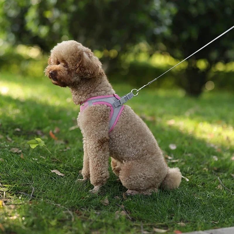 Puppy Harness Set Dog Accessories Adjustable Pet Vest Dogs French Bulldog Chihuahua Small Dog Collar Supplies Products Home Beauty World Shop