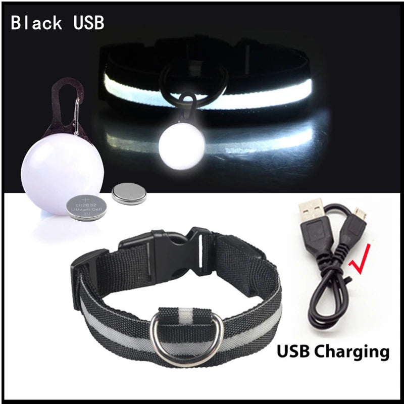 Usb Charging Glowing Dog Collar With Pendant Detachable Luxury Led Light Bright For Small Dogs Cat Night Safety Collar Wholesale Beauty World Shop