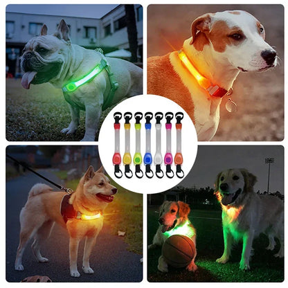 Waterproof Dog Anti-Lost Safety Glowing Collar,Multi-Color Pendants and Outdoor-Ready Flashing LED Light Strip, Night Visibility Beauty World Shop