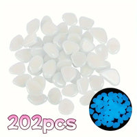 202PCS 1