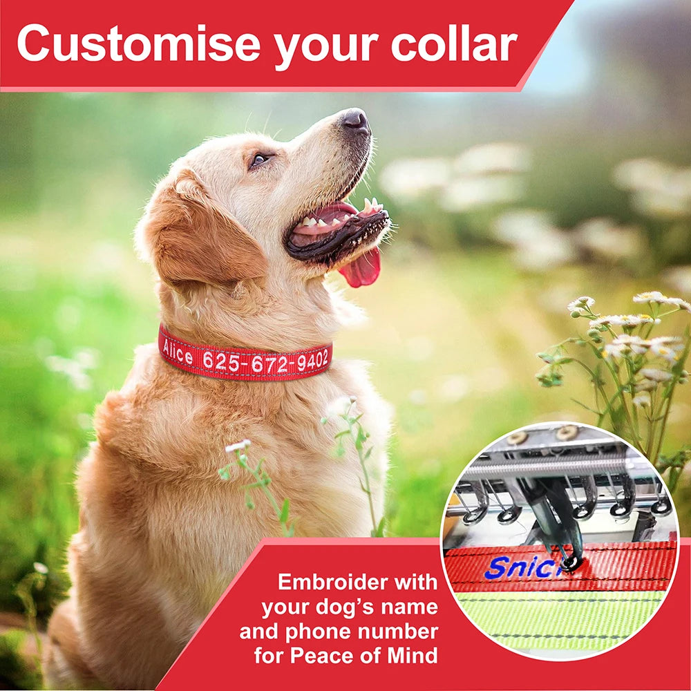 Embroidered Nylon Dog Collar Personalized Puppy Cat Collars Reflective Pet ID Collars DIY Phone Name ID For Small Large Dog Cat Beauty World Shop