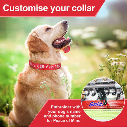 Embroidered Nylon Dog Collar Personalized Puppy Cat Collars Reflective Pet ID Collars DIY Phone Name ID For Small Large Dog Cat Beauty World Shop