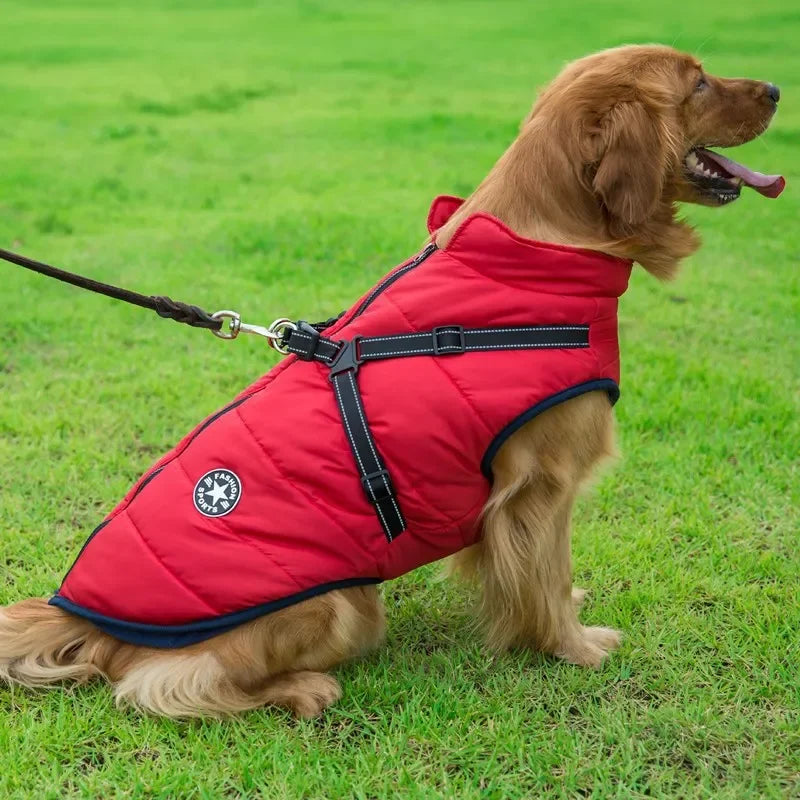 Large Pet Dog Jacket With Harness Winter Warm Dog Clothes For Labrador Waterproof Big Dog Coat Chihuahua French Bulldog Outfits Beauty World Shop