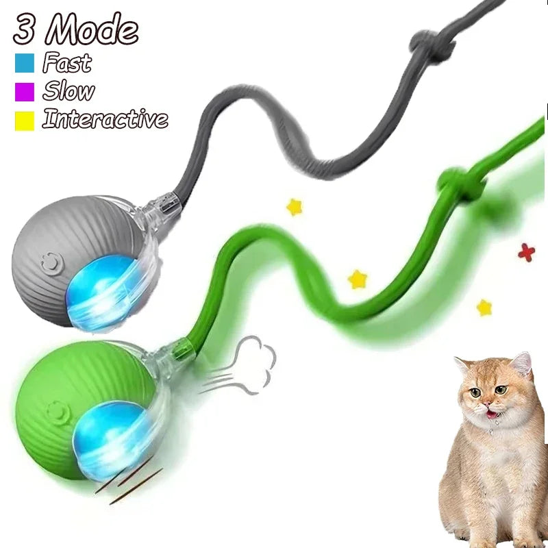 1~2Pcs Cat Interactive Ball Toys Automatic Rolling Ball Faux Tail Rechargeable Smart Pet Electric Toy Cat Training Imitate Mouse
