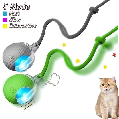 1~2Pcs Cat Interactive Ball Toys Automatic Rolling Ball Faux Tail Rechargeable Smart Pet Electric Toy Cat Training Imitate Mouse