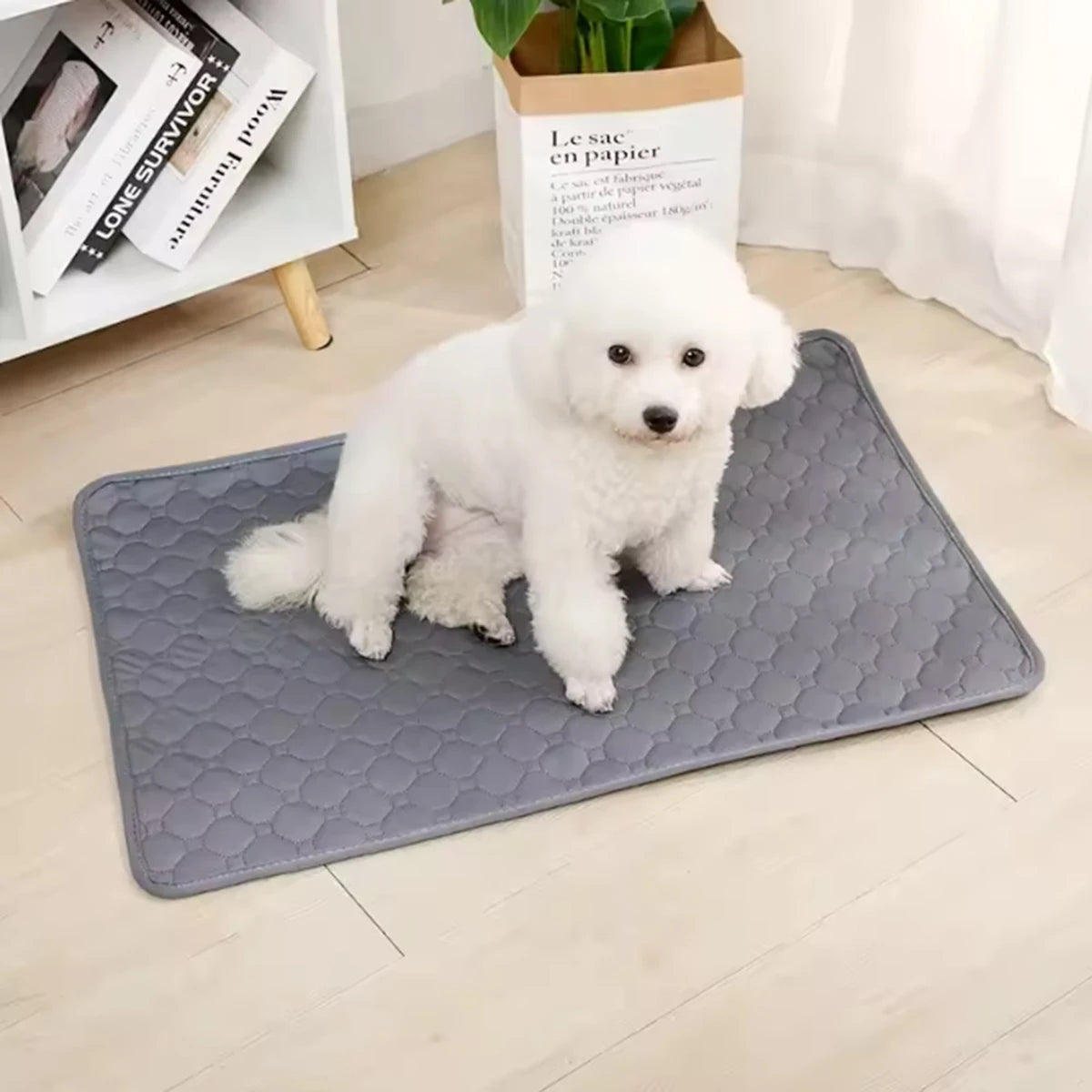 Winter Dog Pee Pad Reusable Washable Dog Urine Mat Car Seat Floor Sofa Waterproof Absorbent Puppy Cat Training Pet Supplies Beauty World Shop