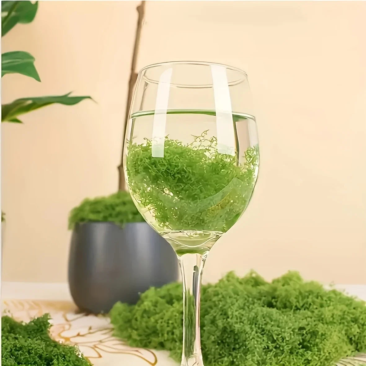 50g Fake Moss DIY Crafts Grass Artificial Moss Faux Preserved Moss Green Plants Home Room Garden Decor Mini Landscape Fake Grass Beauty World Shop