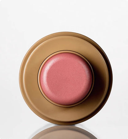 Brand Makeup Blusher Rouge Powder Pocket Blush Lipstick Cheek Hydrating Stick Natural Cream Lip Gloss Cheek Easy Apply Color Beauty World Shop