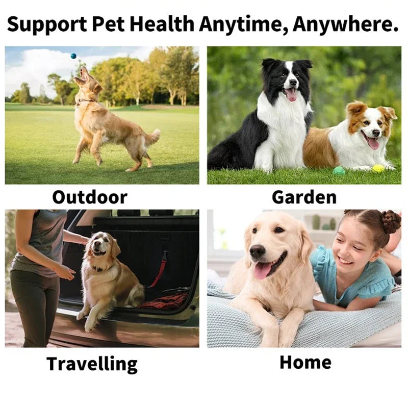 Pet Cleaning Products Eye Wipes To Remove Tear Marks Cleaning Wet Tissues Cat Wiping Eyes Removing Tear Marks and Cleaning Pet Beauty World Shop