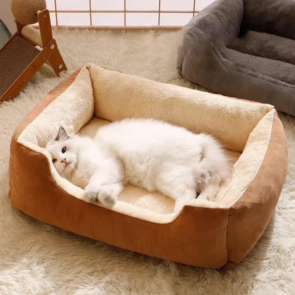 Bed for Cats Pet Products Cushions Kitten Goods Accessories Dog All Home Supplies Things Accessory Habitats Basket House Beds Beauty World Shop