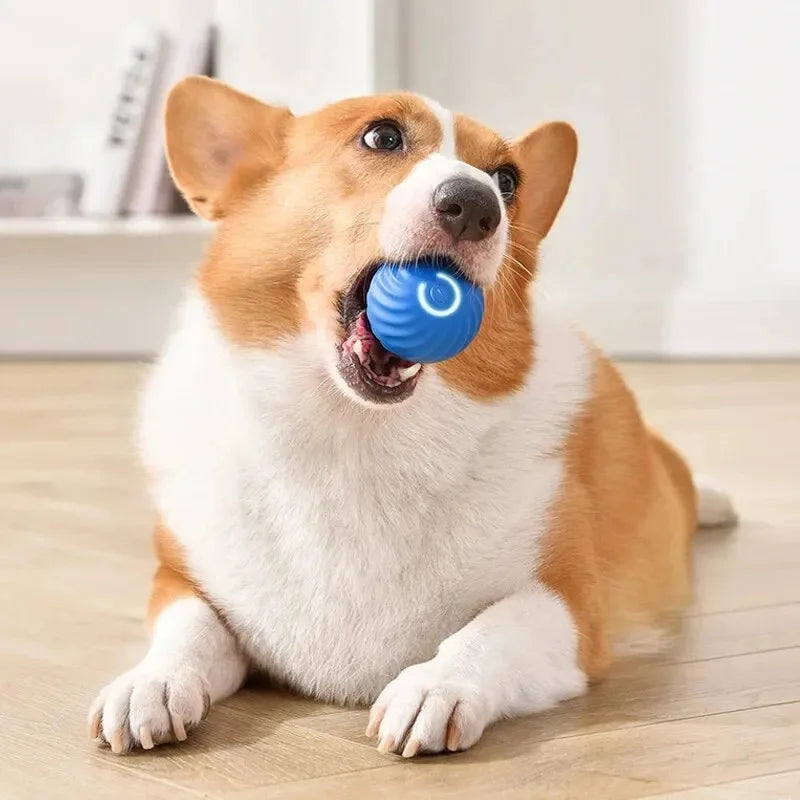 Smart Dog Toys Ball Electronic Interactive Pet Toy Moving Ball USB Automatic Moving Bouncing for Puppy Birthday gift Cat Product Beauty World Shop