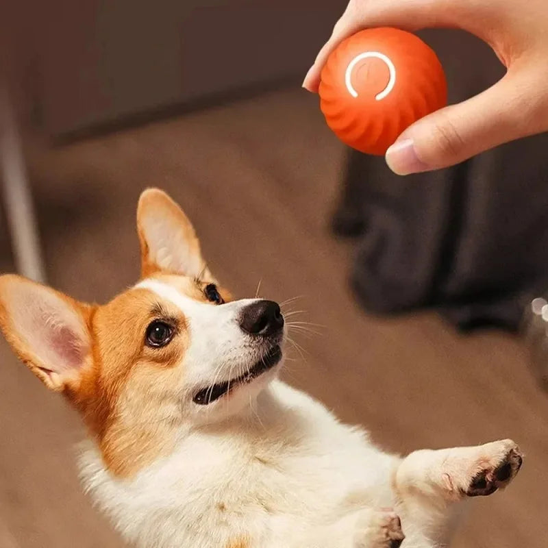 Dog Toy Ball Automatic Moving Bouncing Rolling Ball USB Smart puppy Interactive Dog Chew Toy Ball Beauty World Shop