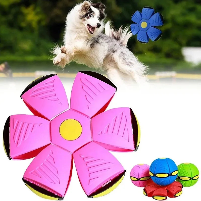 Flying Saucer Bouncing Ball Is A Durable Elastic and Fun Dog Pet Toy Suitable for Outdoor Activities and Exercise Beauty World Shop