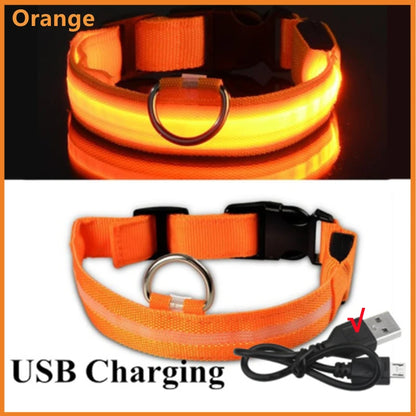 USB Rechargeable Luminous Collar Adjustable Led Glowing Dog Collar for Large Small Dogs Cat Night Light Collar Pet Safety Harnes Beauty World Shop