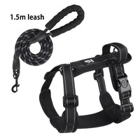 Black with leash