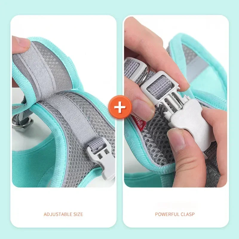 Cats Dog Accessories Small Dog Collar Safety Vest Pet Chest Rope Dogs Cover Breathable Adjustable Harnesses Supplies Products Beauty World Shop