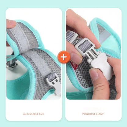 Cats Dog Accessories Small Dog Collar Safety Vest Pet Chest Rope Dogs Cover Breathable Adjustable Harnesses Supplies Products Beauty World Shop