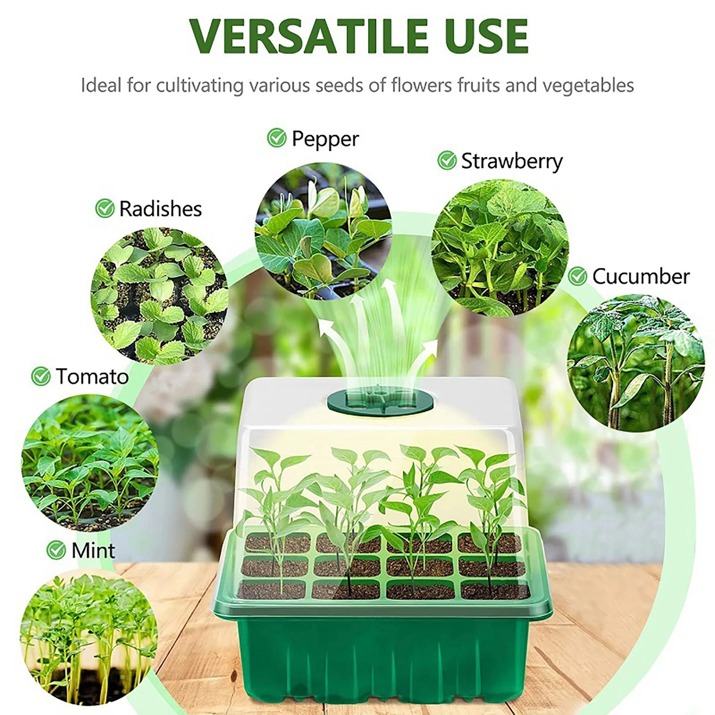 Seed Starter Tray Box With LED Grow Light Nursery Pot Seedling Germination Planter Adjustable Ventilation Humidity 6/12/13 Cell Beauty World Shop
