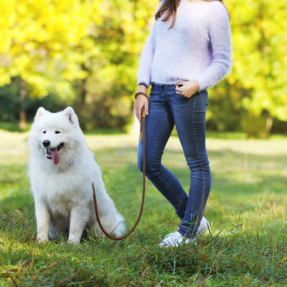 1.8M Large Dog Leash Waist Chain Traction For Running Walking Adjustment Simplicity Hands Free Dog Leash Leashes