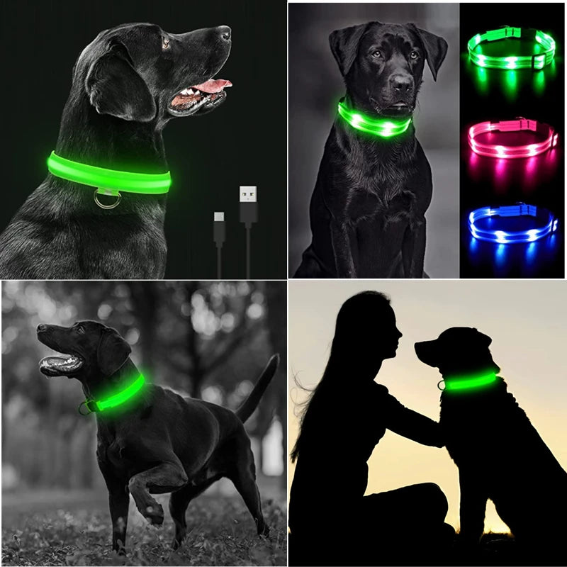 Usb Charging Glowing Dog Collar With Pendant Detachable Luxury Led Light Bright For Small Dogs Cat Night Safety Collar Wholesale Beauty World Shop