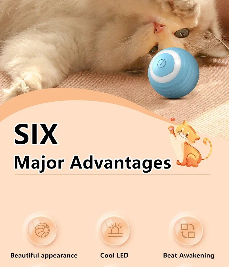 Spin Ball Things for Cats Toys Electric Interactive USB Charging Cat Ball Toy Cat and Dog Accessories Pet Cat's Supplies Home Beauty World Shop