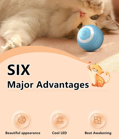 Spin Ball Things for Cats Toys Electric Interactive USB Charging Cat Ball Toy Cat and Dog Accessories Pet Cat's Supplies Home Beauty World Shop