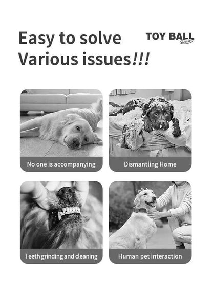 Interactive Dog Toys Smart Rolling Ball With Rope Motion Activated Automatic Moving Squeaky Dog Training Puppy Chew Toy Balls Beauty World Shop