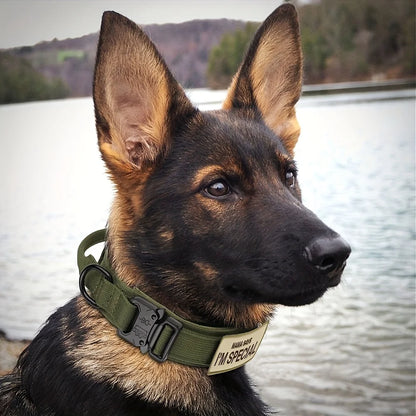Heavy Duty Tactical Dog Collars with Handle Military Collar with Patch Outdoor Training and Walking for Medium and Large Dogs Beauty World Shop