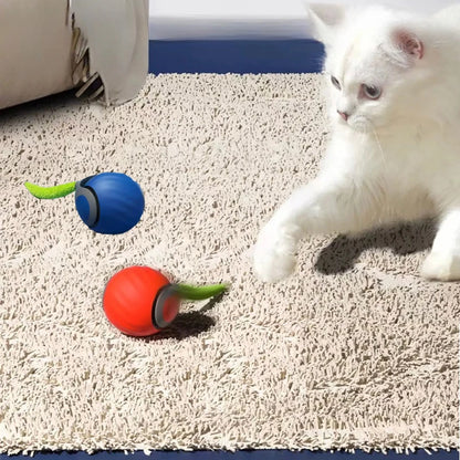 Smart Cats Toy Ball Electric Ball for Cats With Feather Teaser Intelligent Automatic Movement Active Scrolling Pet Toys Supplies Beauty World Shop