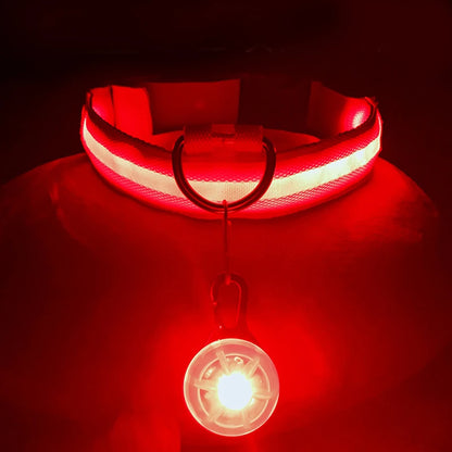 Usb Charging Glowing Dog Collar With Pendant Detachable Luxury Led Light Bright For Small Dogs Cat Night Safety Collar Wholesale Beauty World Shop