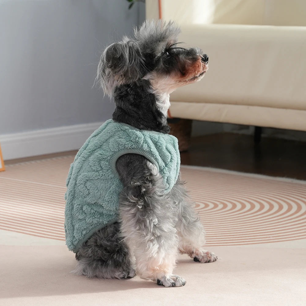 Soft Cozy Cat Clothes Autumn Winter Warm Fleece Sweatshirt for Small Dogs Puppy Kitten Jacket Coat Pet Sphynx Costume Sweater Beauty World Shop