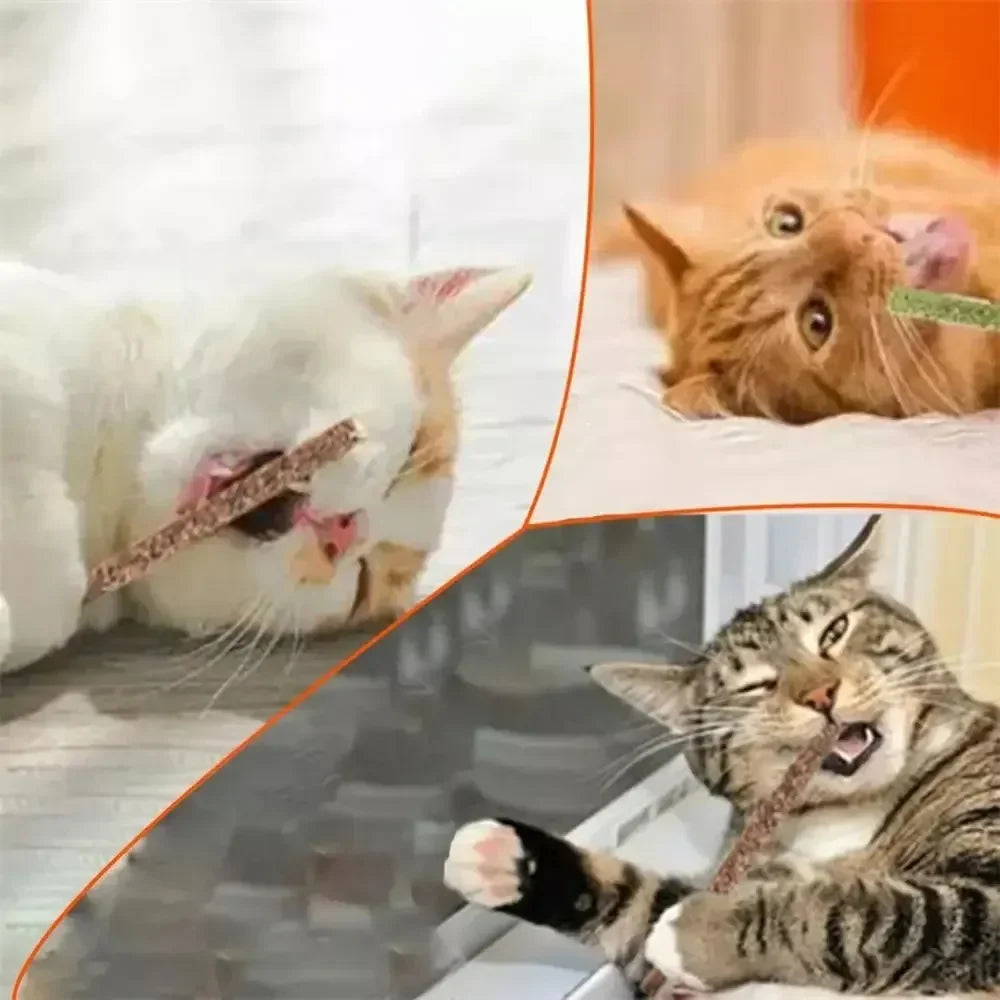 6pcs Natural Matatabi Cat Stick Mint Caught Bite Excited Rods Silvervine For Cat Teeth Cleaning Treating Pet Supply Cat Toys