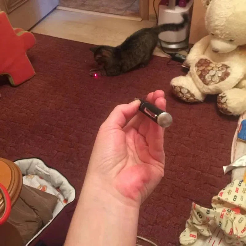 Pet Laser Pointer & LED Flashlight - Interactive Cat Scratching Toy, Christmas Gift for Cats/Kittens Beauty World Shop