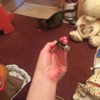 Pet Laser Pointer & LED Flashlight - Interactive Cat Scratching Toy, Christmas Gift for Cats/Kittens Beauty World Shop