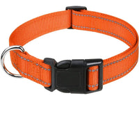 6-Orange
