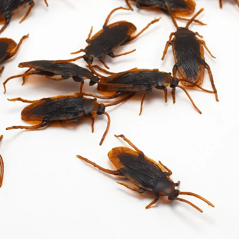 Special Lifelike Model Simulation Fake Rubber Cock Cockroach Roach Bug Roaches Toy Prank Funny Trick Joke Toys April Fools Prank Beauty World Shop