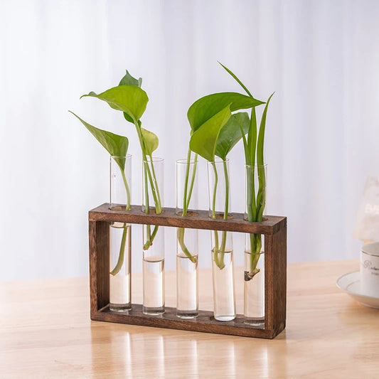 1 Set Creative Hydroponic Plants Container With Wood Frame Transparent Glass Test Tube Vase Bonsai Home Desktop Decor Crafts Home Accessories Store