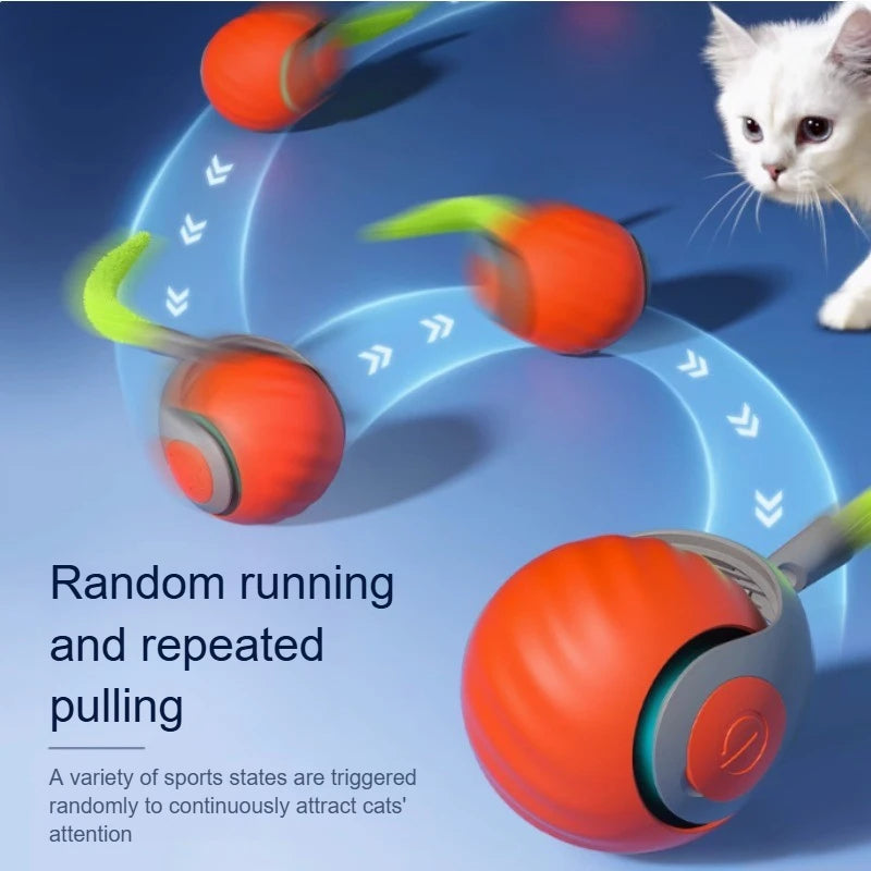 Cats Interactive Ball Toys, Automatic Rolling Ball with Faux Tail,USB Rechargeable SmartElectric Pet Toy for Teaser and Training Beauty World Shop