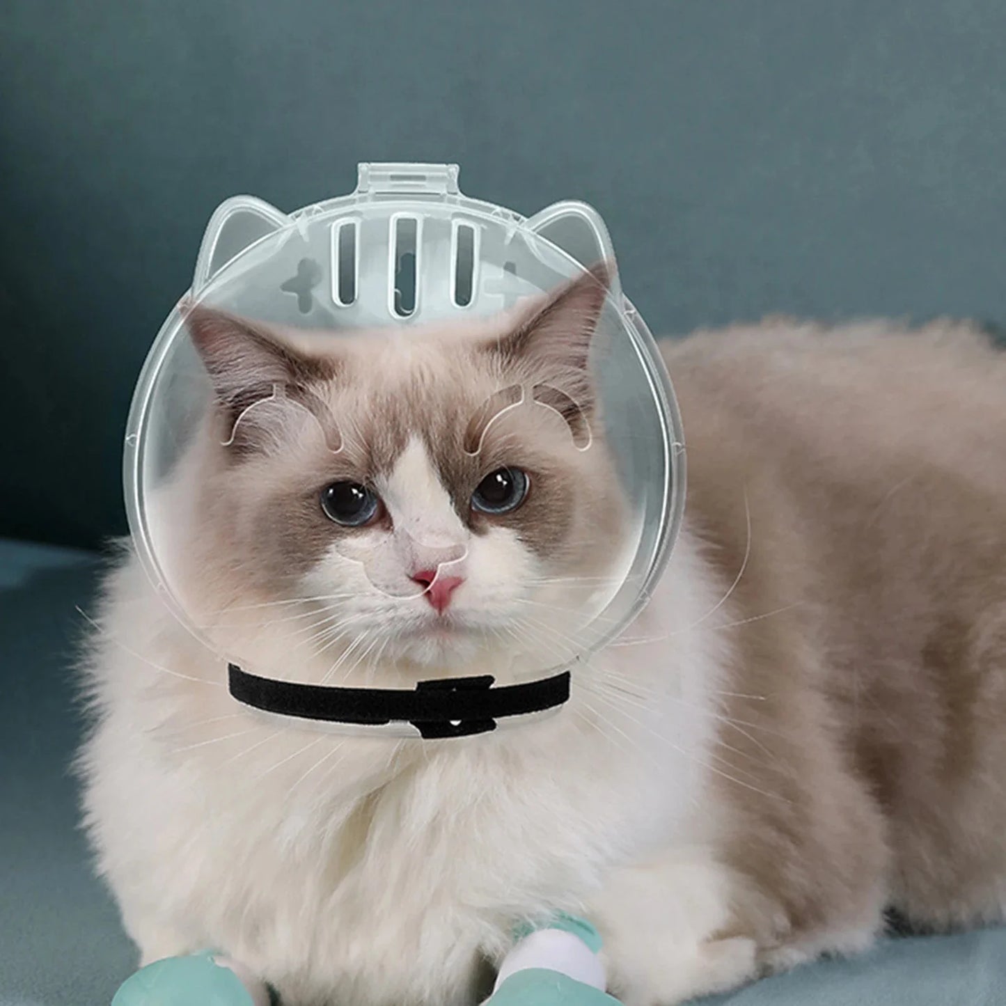 1Set Cat Muzzle Pet Grooming Cover Accessory Cat Anti Bite Anti Licking Space Hood Breathable Helmet with 4 Silicone Paw Shoes Beauty World Shop